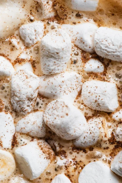 Close up view of cocoa with marshmallows and cinnamon — Stock Photo