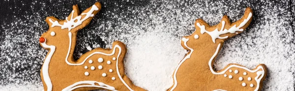 Foto panorámica de galletas de jengibre con azúcar en polvo - foto de stock