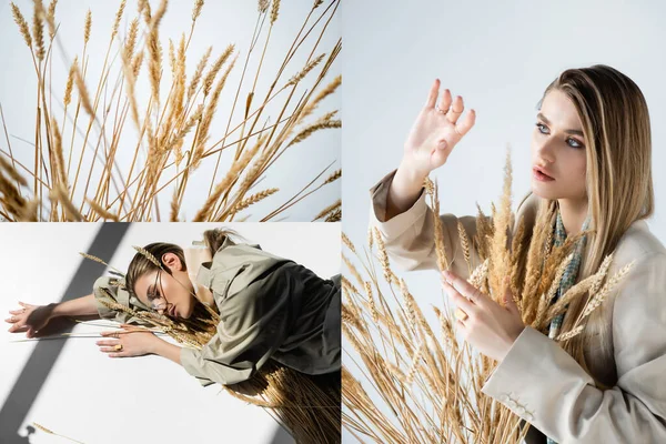 Collage of young trendy woman in glasses lying and touching wheat on white — Stock Photo