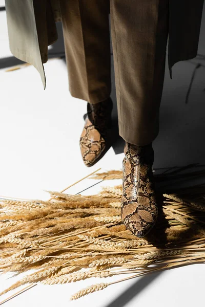 Cropped view of woman standing in boots with animal print near wheat on white — Stock Photo