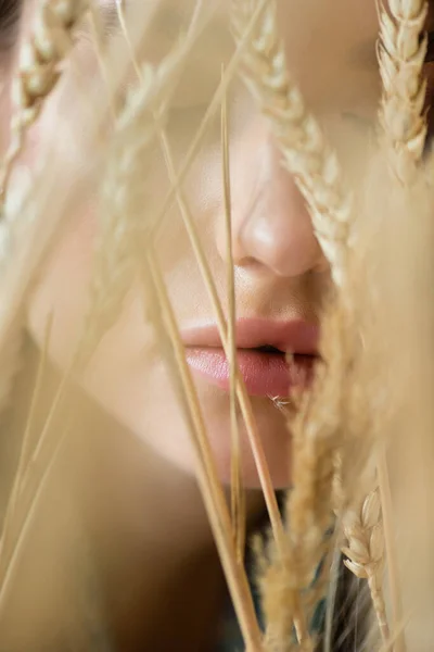 Close up of woman near wheat spikelets on blurred foreground — Stock Photo