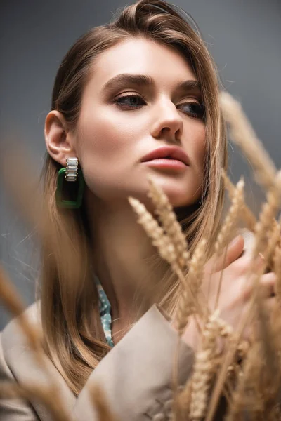 Stylish woman looking away near barley spikelets on grey background — Stock Photo