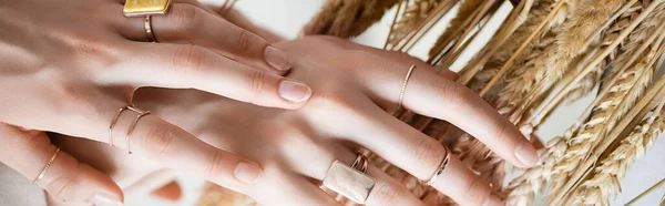 Vista ritagliata di mani femminili con anelli d'oro sulle dita vicino al grano, striscione — Stock Photo