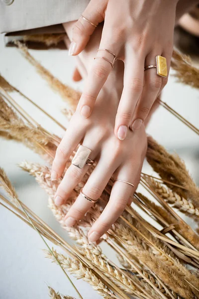 Vista recortada de las manos femeninas con anillos de oro en los dedos cerca del trigo - foto de stock