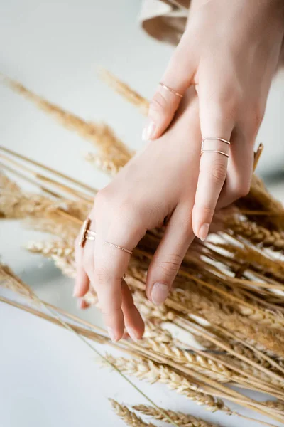 Vue recadrée des mains féminines avec des anneaux dorés sur les doigts sur fond flou avec du blé — Photo de stock