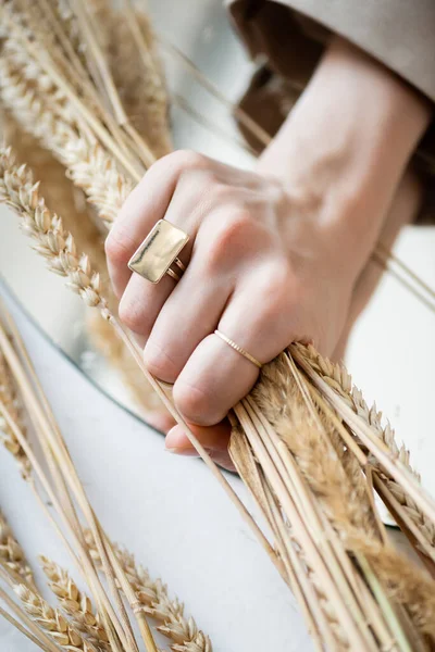 Vista recortada de la mano femenina con anillos de oro en los dedos sosteniendo manojo de trigo - foto de stock