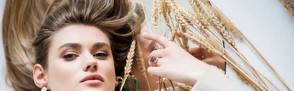 Top view of woman lying near wheat spikelets on white, banner — Stock Photo