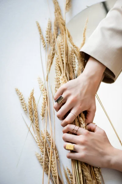 Cropped view of female hands with golden rings on fingers holding bunch of wheat on white — Stock Photo