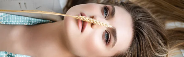 Top view of barley spikelet on face of young woman, banner — Stock Photo