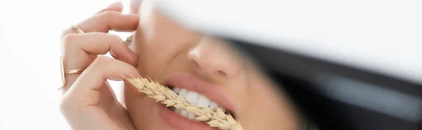 Отражение женщины, кусающей пшеничные шипы в круглом зеркале с размытым передним плакатом, баннером — стоковое фото