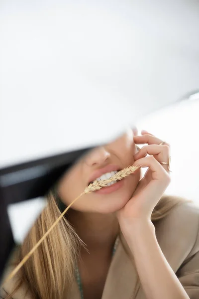 Reflection of woman biting wheat spikelet in round mirror on white blurred background — Stock Photo