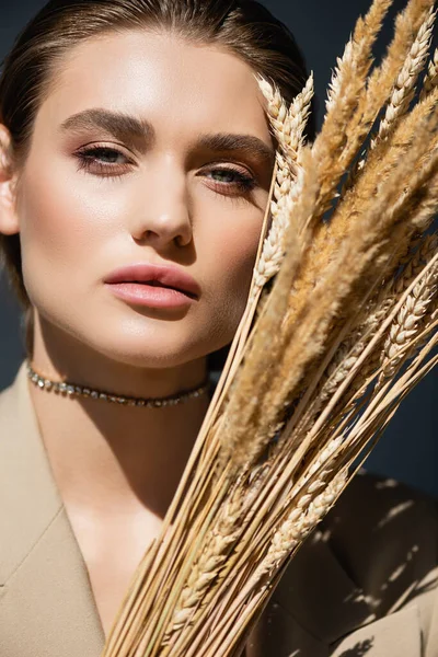 Giovane donna in blazer beige guardando la fotocamera vicino a spikelets di grano su grigio scuro — Foto stock