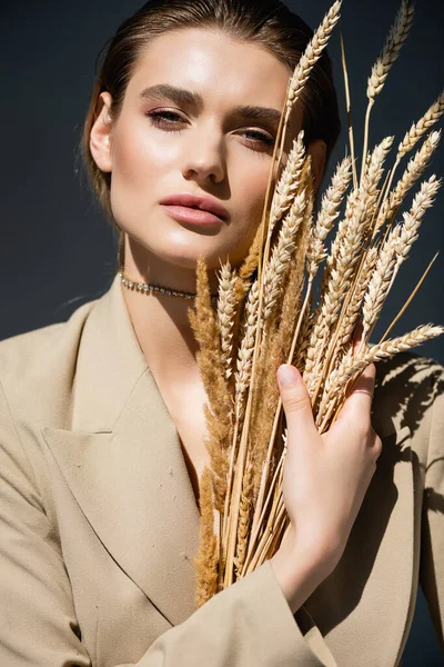 Mujer joven en blazer beige mirando a la cámara cerca de espiguillas de trigo en gris oscuro - foto de stock