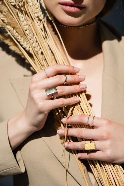 Vista cortada de jovem mulher em blazer bege segurando trigo em cinza escuro — Fotografia de Stock