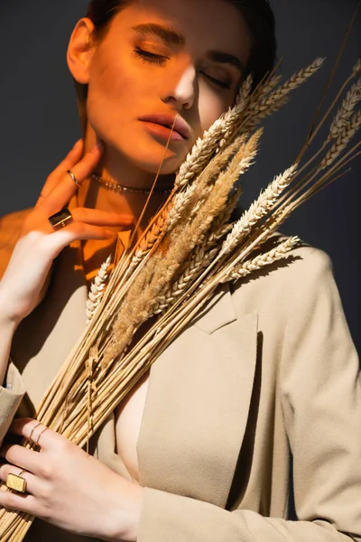 Lighting on young woman in beige blazer holding barley spikelets on dark grey — Stock Photo