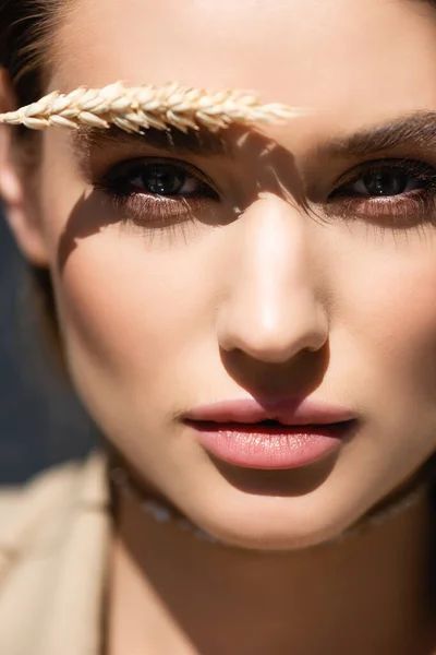 Close up of young woman looking at camera near wheat spikelet — Stock Photo