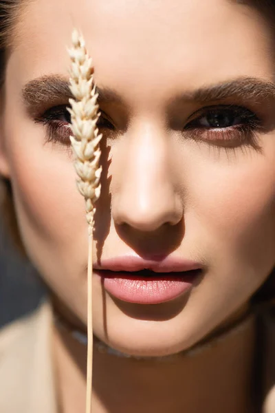 Close up de jovem mulher olhando para a câmera perto de cevada spikelet — Fotografia de Stock