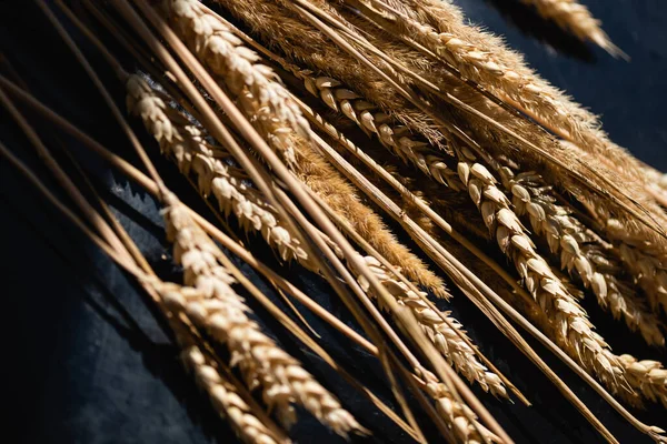 Primer plano de espiguillas de trigo maduro sobre gris oscuro - foto de stock