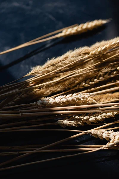 Освещение на спелых шипах пшеницы на темно-сером фоне — стоковое фото