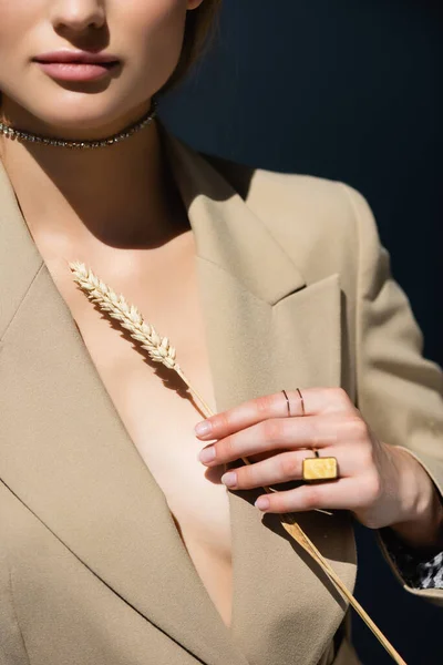 Vista recortada de la mujer en collar y anillos que sostienen espiguilla de trigo en gris oscuro - foto de stock