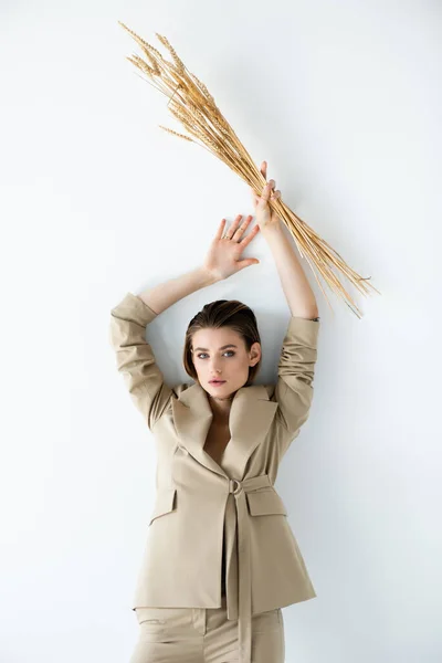 Mujer joven en ropa formal beige sosteniendo el trigo por encima de la cabeza en blanco - foto de stock