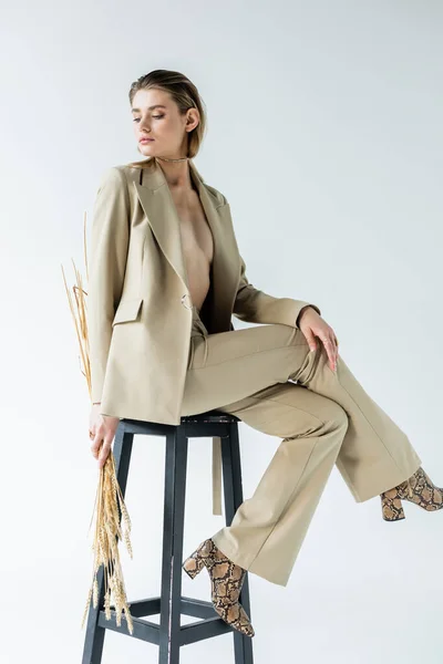 Sexy jovem modelo no terno sentado no banco e segurando espiguetas de trigo no branco — Fotografia de Stock