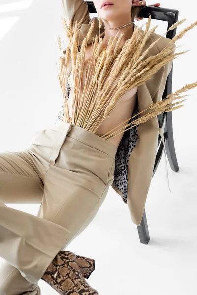 Vue recadrée du modèle élégant en costume beige avec du blé posant sur chaise sur fond blanc — Photo de stock