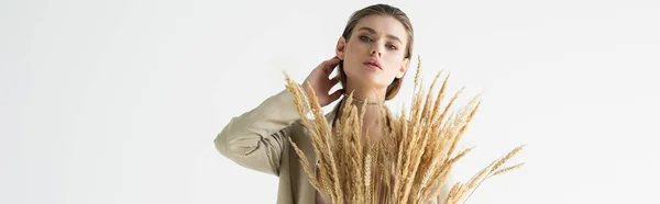 Modelo elegante em terno bege com espiguetas de trigo posando isolado em branco, banner — Fotografia de Stock