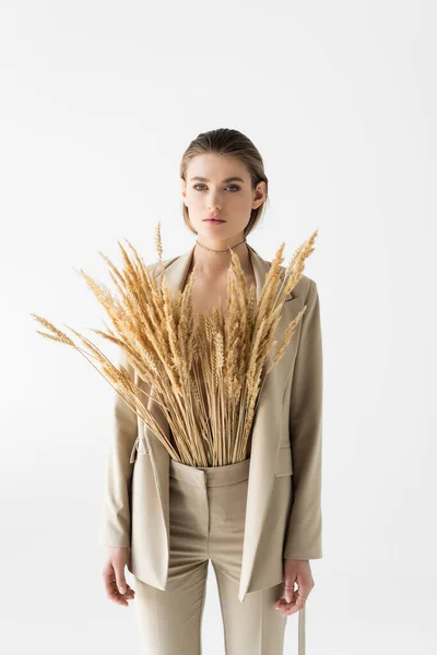 Стильна модель в бежевому костюмі з пшеничними колосками, які позують ізольовані на білому — стокове фото