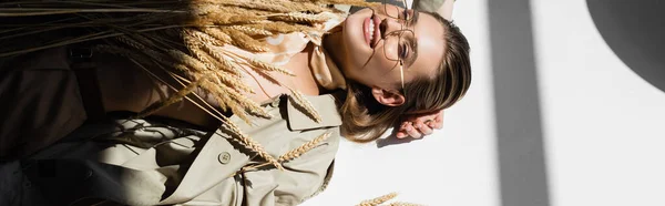 Vista de ángulo alto de la mujer alegre en gafas, gabardina y bufanda que miente cerca del trigo en blanco, bandera - foto de stock