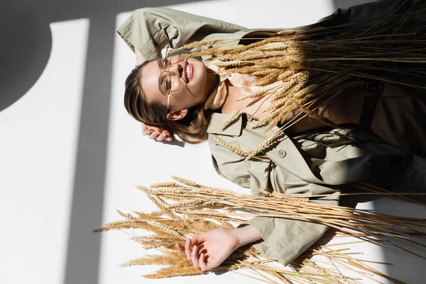 High angle view of cheerful woman in glasses, trench coat and scarf lying near wheat on white — Stock Photo