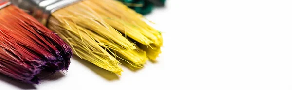 Close up view of dirty paintbrushes on white background, panoramic shot — Stock Photo