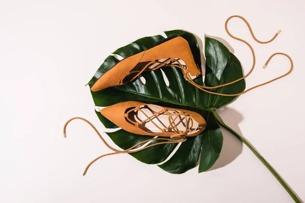 Vista dall'alto di scarpe piatte scamosciate marrone su foglia di palma su sfondo beige — Foto stock