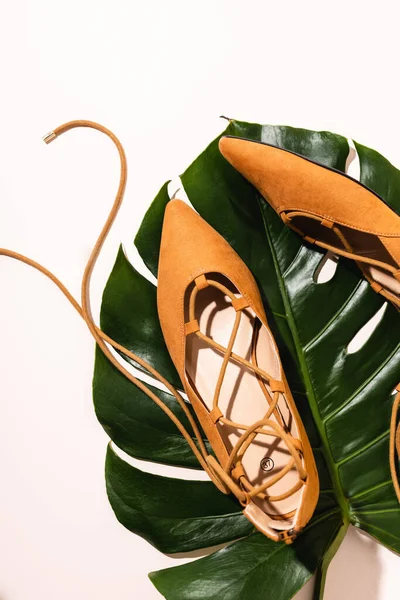 Вид зверху на плоске замшеве коричневе взуття на пальмовому листі на бежевому фоні — стокове фото