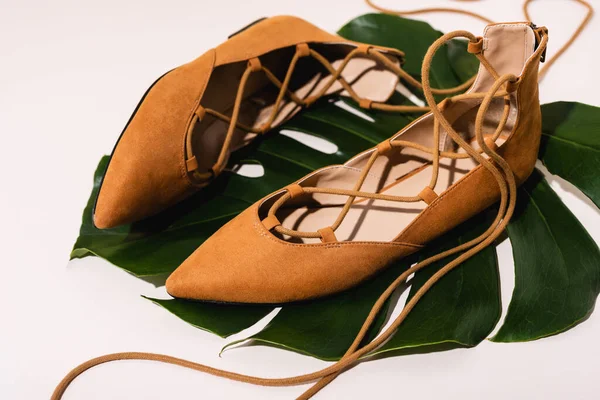 Zapatos planos de ante marrón en hoja de palma sobre fondo beige - foto de stock