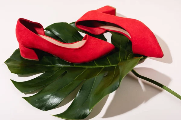 Zapatos de ante rojo marrón en hoja de palma sobre fondo beige - foto de stock