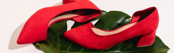 Красная замшевая коричневая обувь на пальмовом листе на бежевом фоне, баннер — стоковое фото