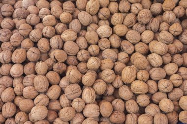 Fındık. Kurutulmuş fındık