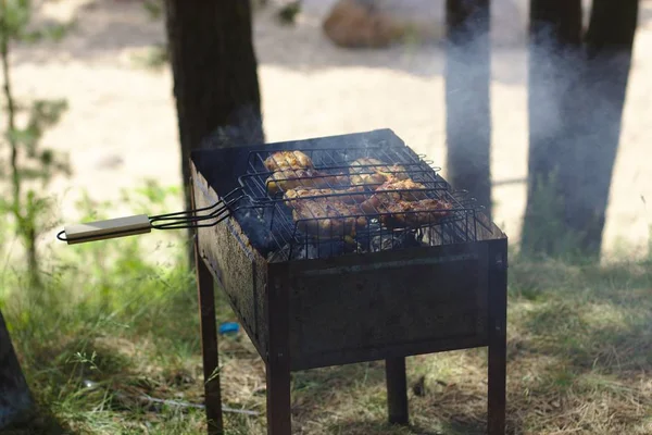 Forest Bbq Brazier — Stock Photo, Image