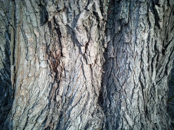 Vecchia texture in legno per lo sfondo in stile rustico . — Foto Stock