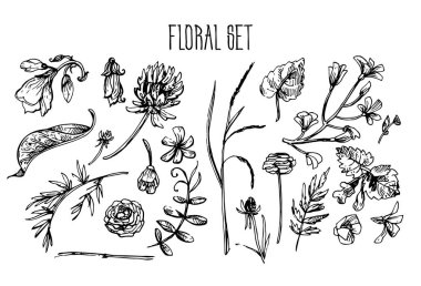 Güzel el çizilmiş vektör çizim çiçek desenli.