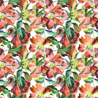 Güzel el çekilmiş sulu boya Dikişsiz desen gül desenli.