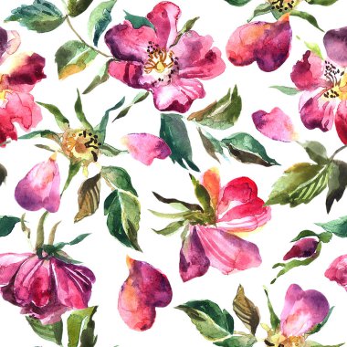 Güzel el çekilmiş sulu boya Dikişsiz desen gül desenli.