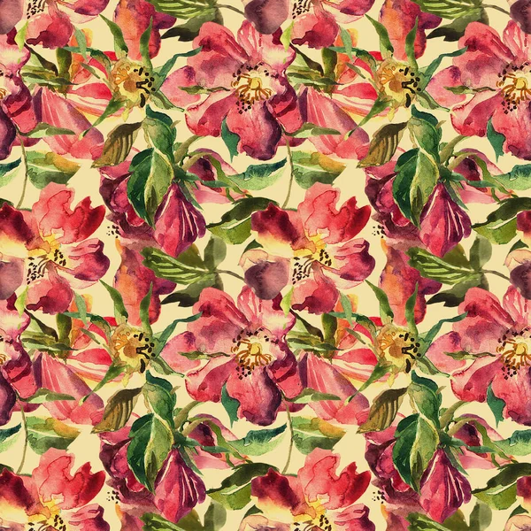 Güzel el çekilmiş sulu boya Dikişsiz desen gül desenli.