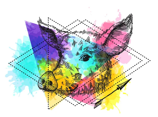 Illustration vectorielle dessinée à la main croquis de porc. Symbole de la nouvelle année 2019 — Image vectorielle