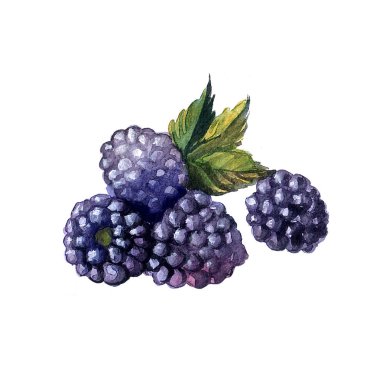 Tasarımınız için suluboya resim güzel el boyalı.