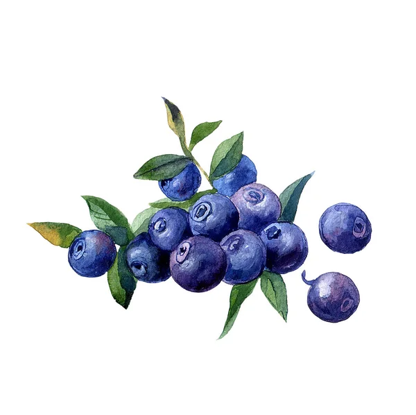 Tasarımınız için suluboya resim güzel el boyalı.