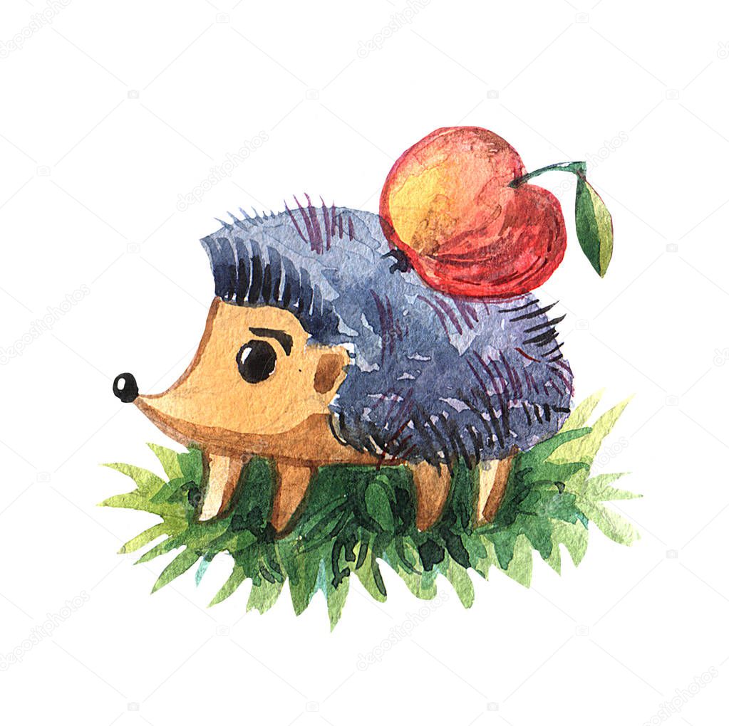 Beautiful hand painted watercolor illustration hedgehog with apple. Autumn mood.