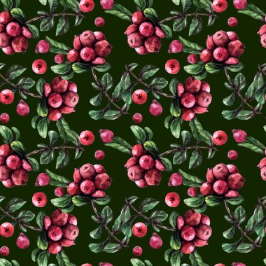 Sulu boya Dikişsiz desen meyveler ve meyve el boyalı