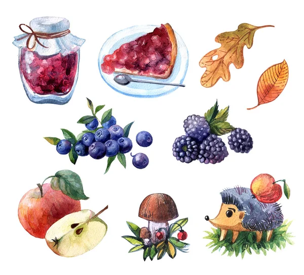 手描きイラストの果物とベリーの水彩セット — ストック写真